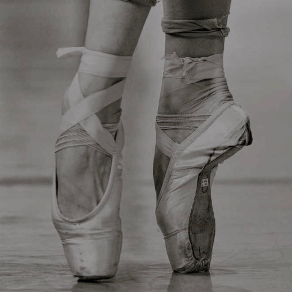 Meet your Posher, Maggie